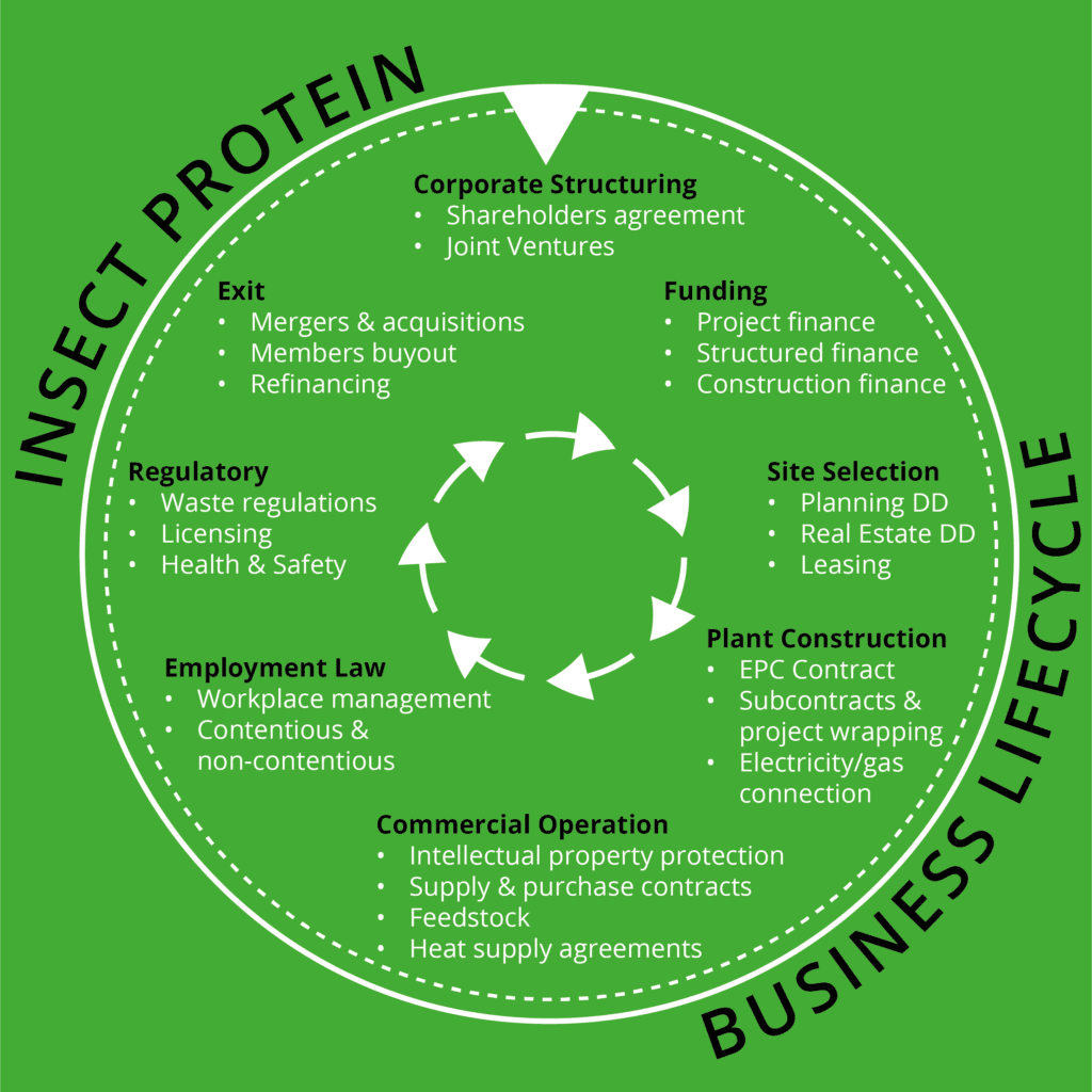 Insect protein life cycle graphic | Sustainable agriculture