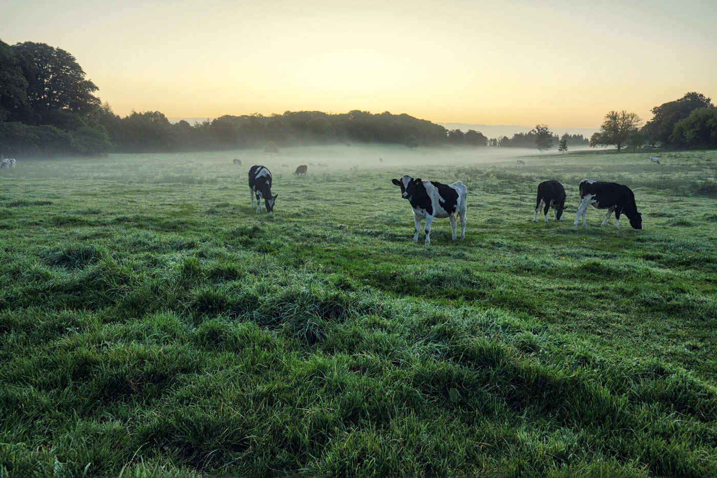 Agri lore autumn