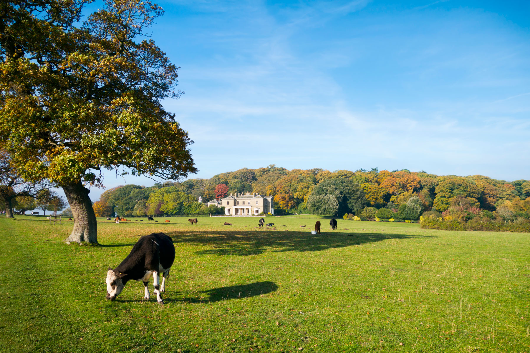 Urgent: Succession planning for estates – key tax changes looming