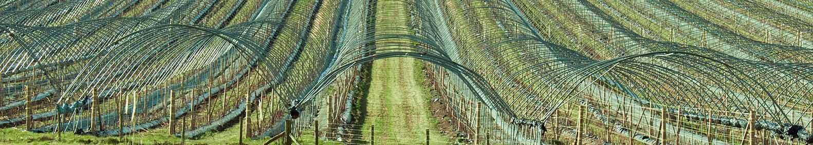 Land Use & the Environment