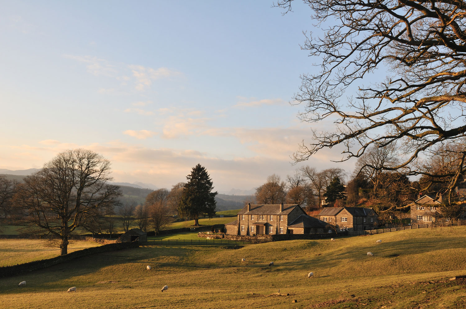 Farming Partnerships: buyout ordered on dissolution