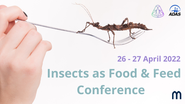 Michelmores supports Insects as Food and Feed Conference 2022