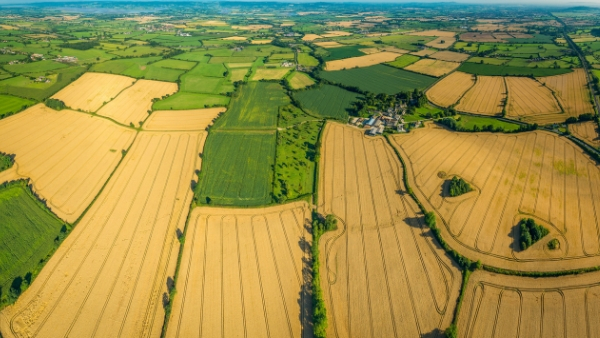 Capitalising on nature: the legal practicalities of unlocking natural capital assets