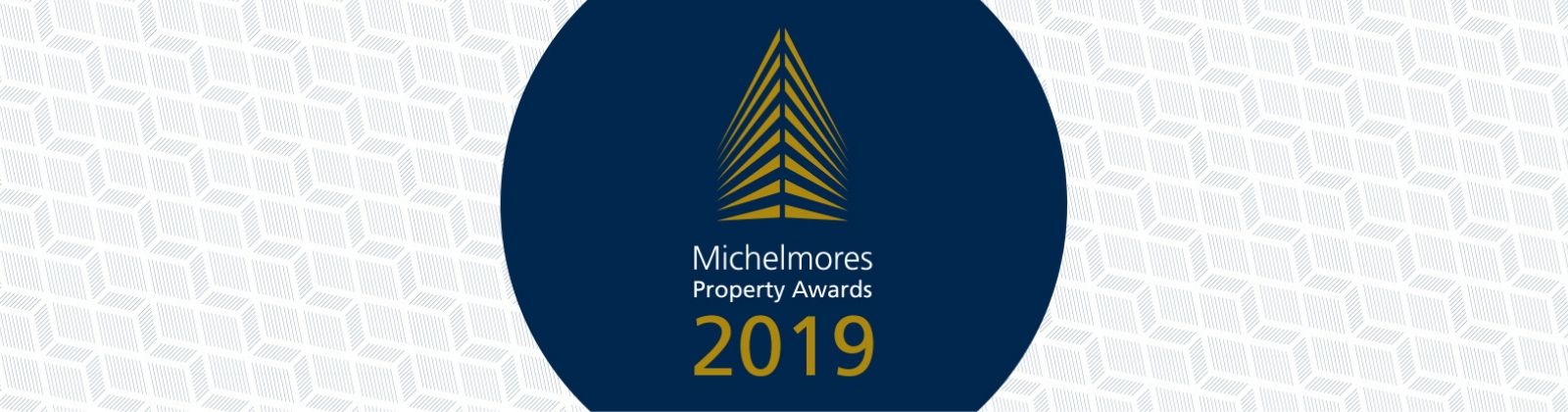 Steve Hindley CBE wins the John Laurence Special Contribution Award at the 2019 Michelmores Property Awards