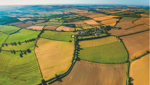 Compulsory purchase compensation: Pointe made