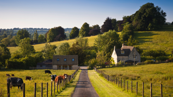 Agriculture Act 2020: New Code of Good Practice for all agricultural tenancies