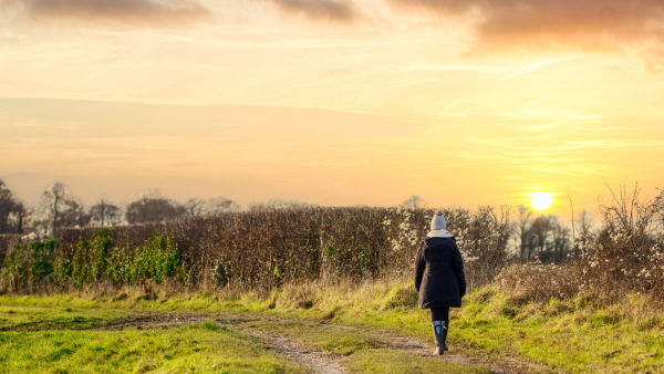 Family law and farming: What rural families can learn from The Archers