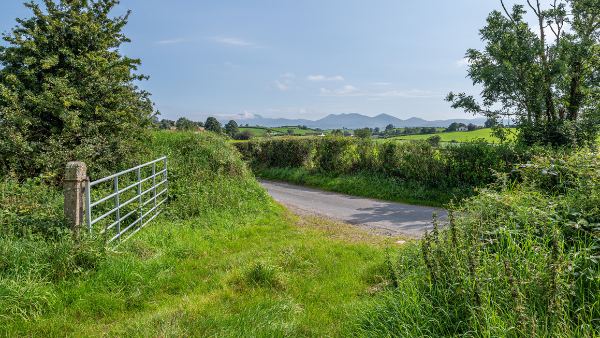 In Brief: Does a new road entrance to a field require planning consent?