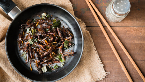 Food Standards Agency confirms edible insects can once again be placed on the GB Market