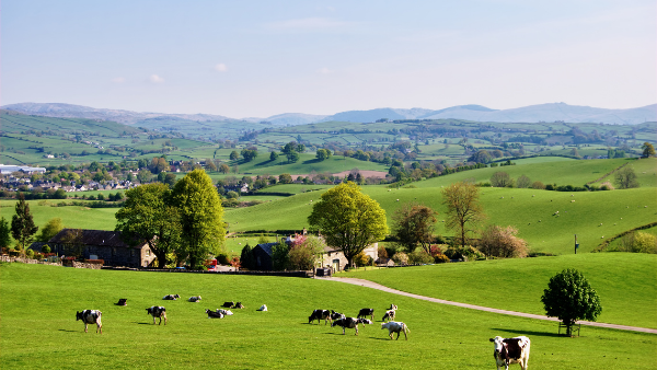 Agriculture Act 2020: Landlord and Tenant Reforms – Now and Later