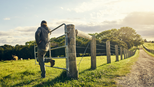 Farm diversification: the options for Business Structures