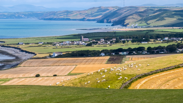 Agriculture Act 2020: The direction of the Welsh agriculture policy