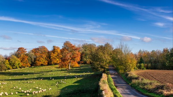 Agriculture Act 2020: Delinking the DEFRA way