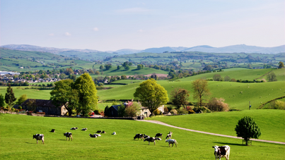 Agricultural tenancies: Tenant farming and the Rock Review 2022