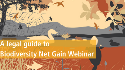 A legal guide to Biodiversity Net Gain | Webinar