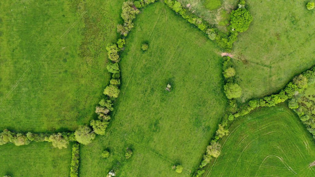 Aerial views of fields