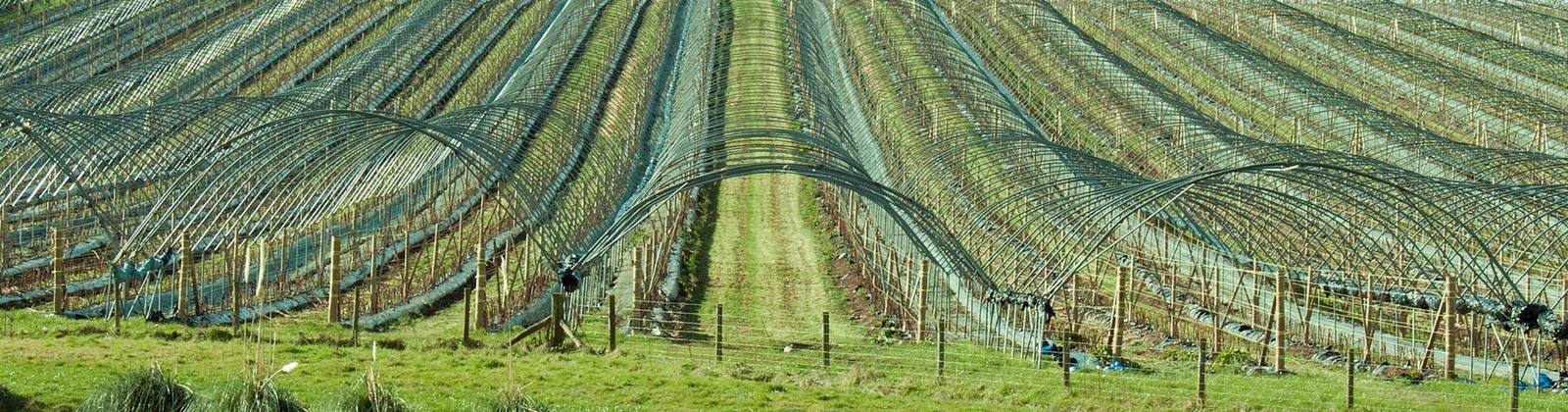 Planning: new guidance for farm shops, poly tunnels and reservoirs