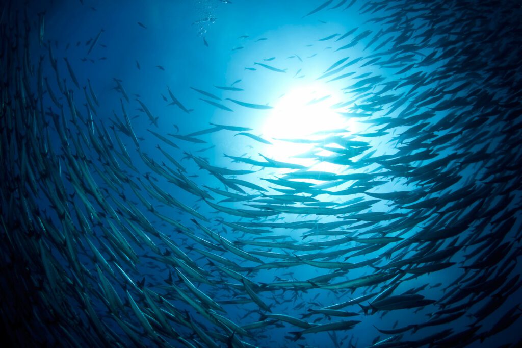 regulatory & compliance