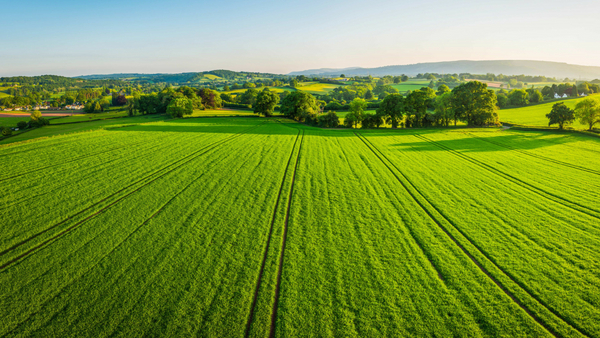 Land Transaction Tax: New Welsh Stamp Duty