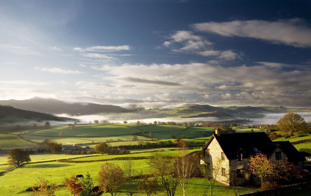 Misty morning in the countryside