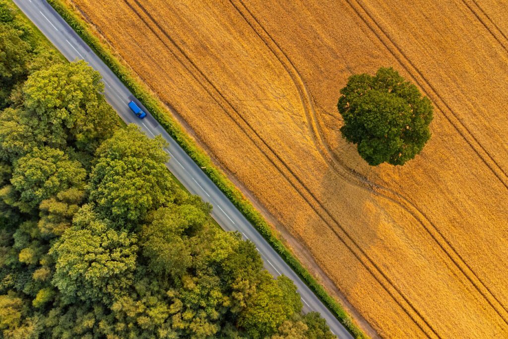 Strategic Land