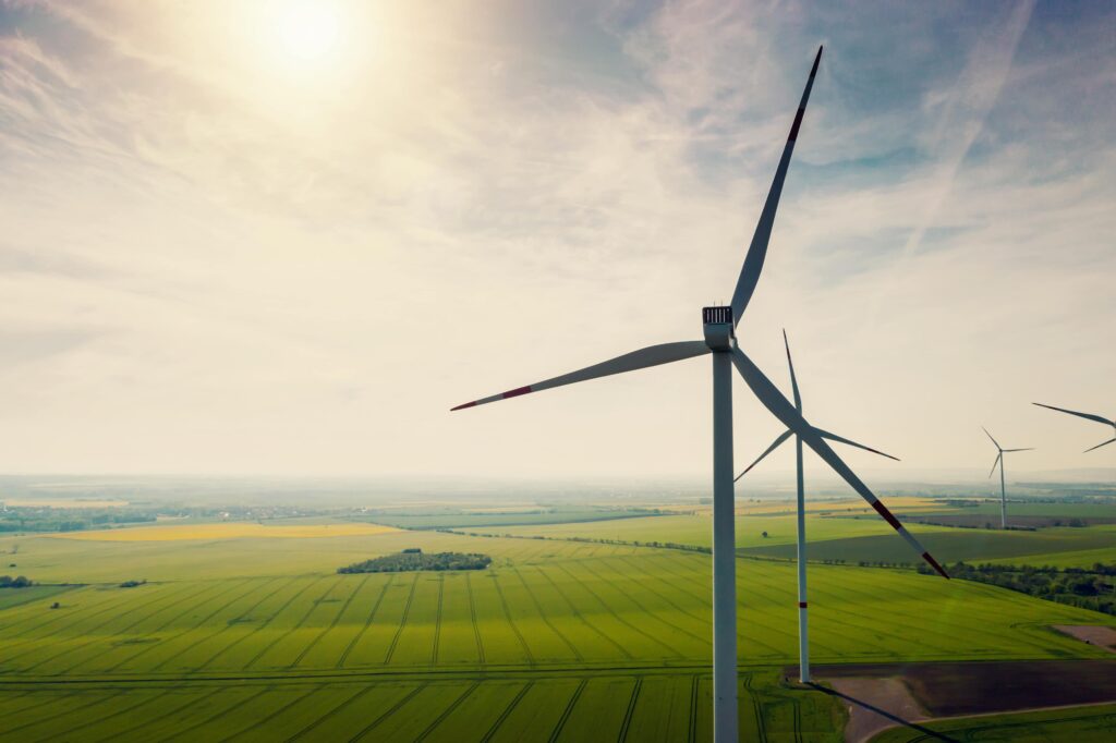 wind turbines in large field