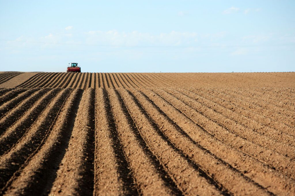 Tractor in field