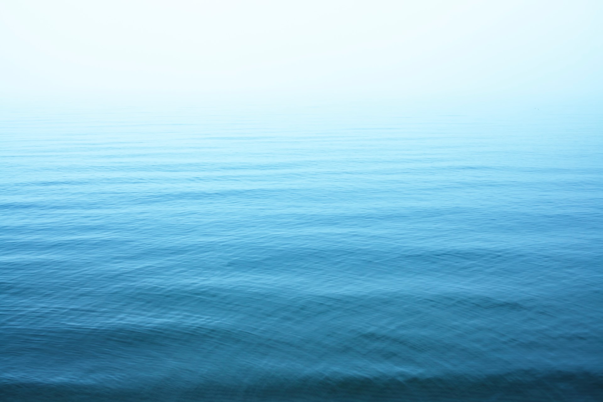 Sea