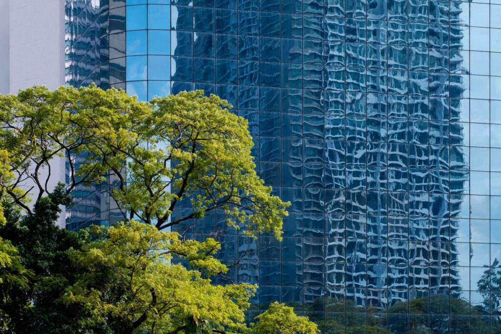 Reflection of building in windows of building, with tree