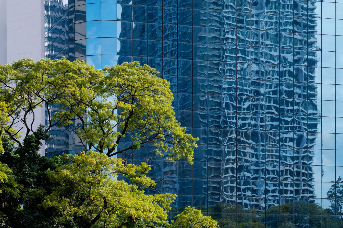 Three-part series: ESG and employment law – what this means for your organisation: Part 2 – Social