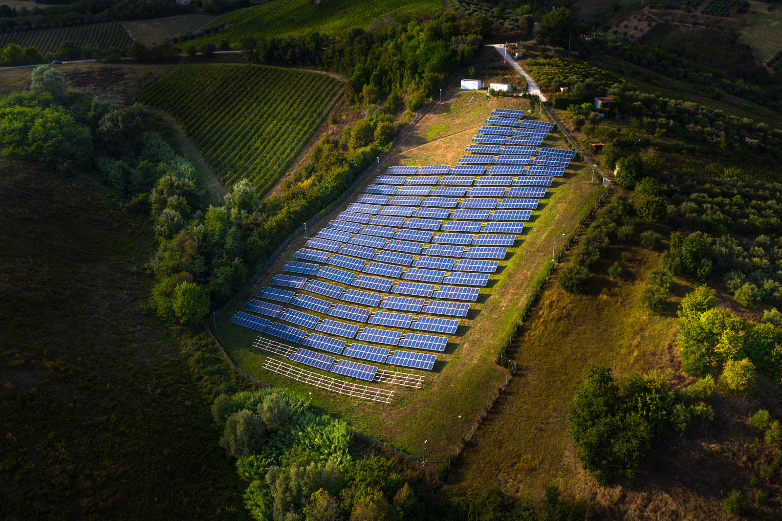 Michelmores advises Thrive Renewables on launch of Triodos crowdfunding offer