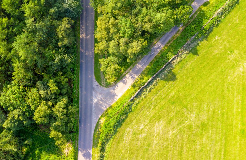 A road through woodland in England, with a junction creating a fork in the road.