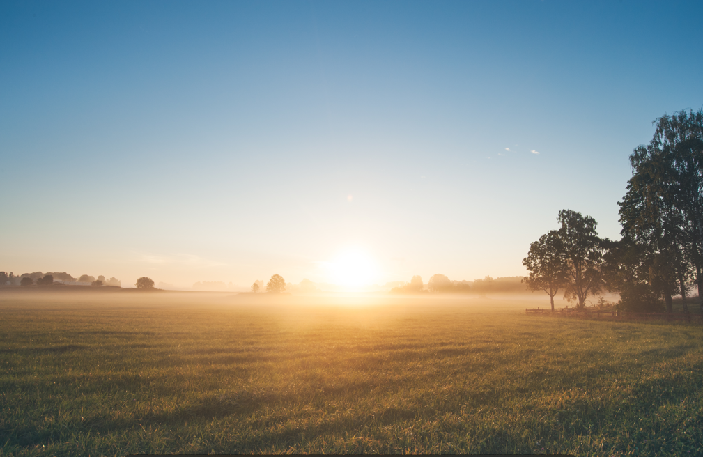 A guide to natural capital (video series)