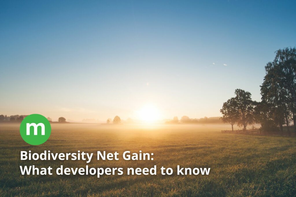 Biodiversity Net Gain: What developers need to know