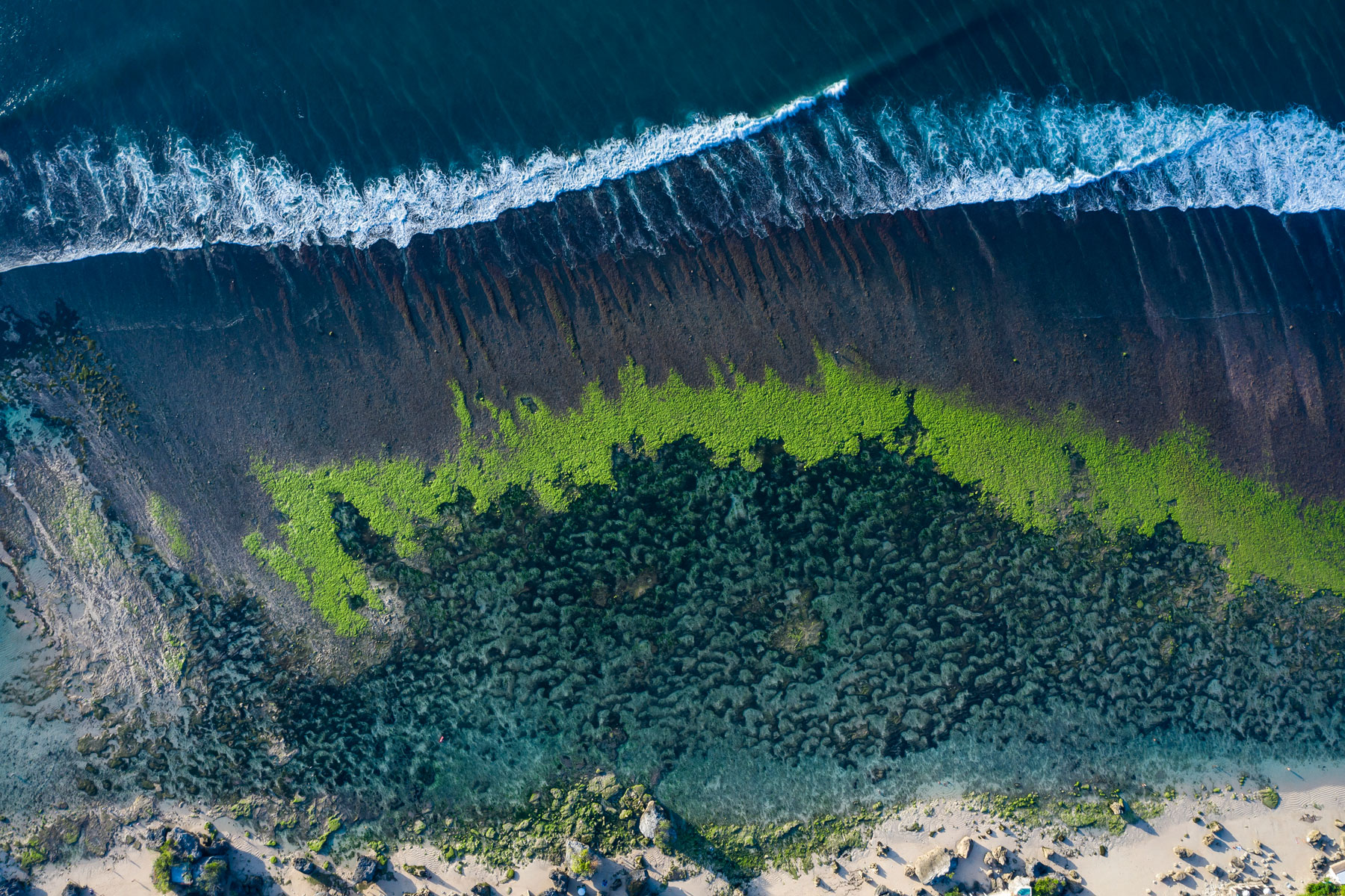 Regulating the marine environment in England and Wales: How do we currently protect our marine habitats?