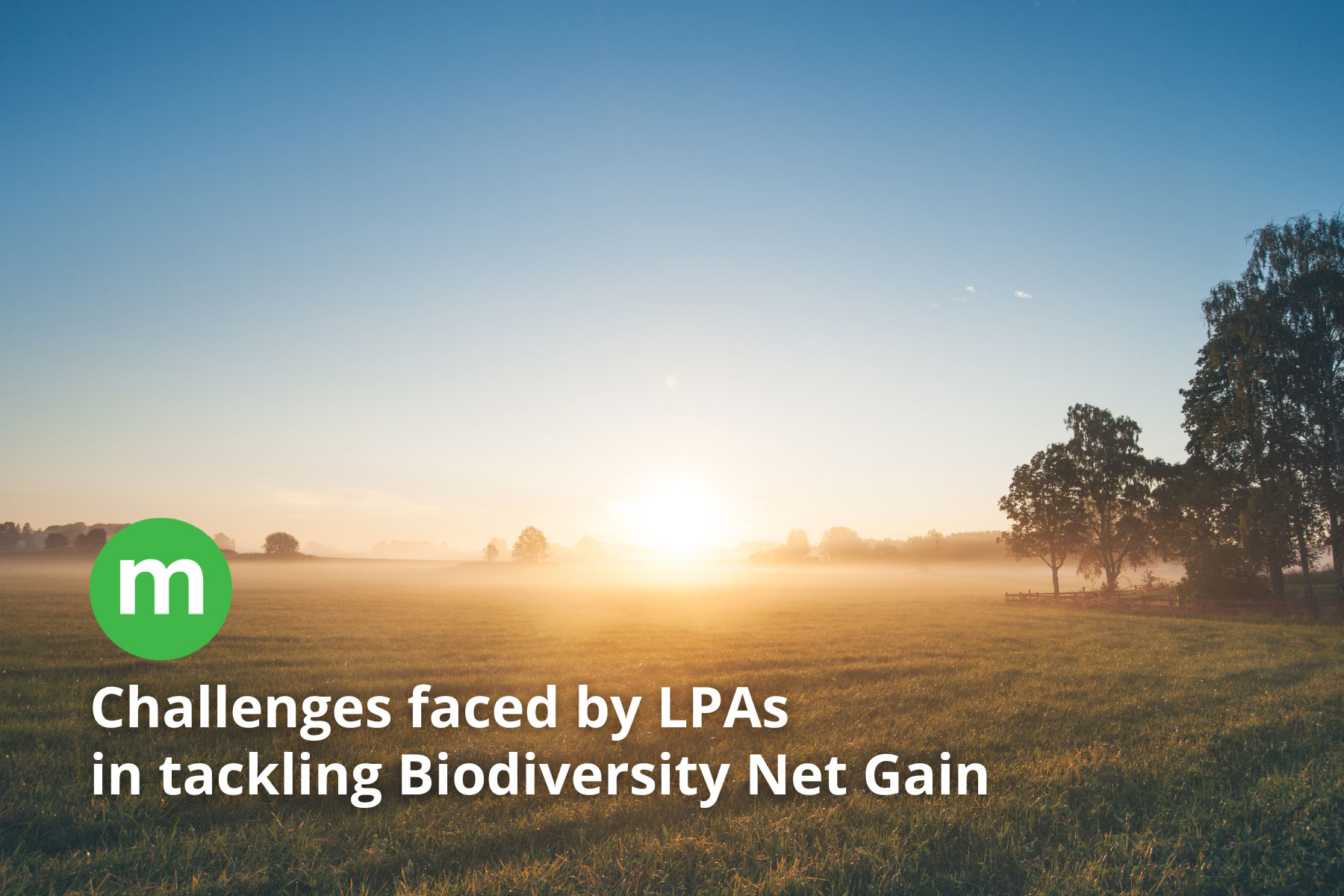 Challenges faced by LPAs in tackling Biodiversity Net Gain