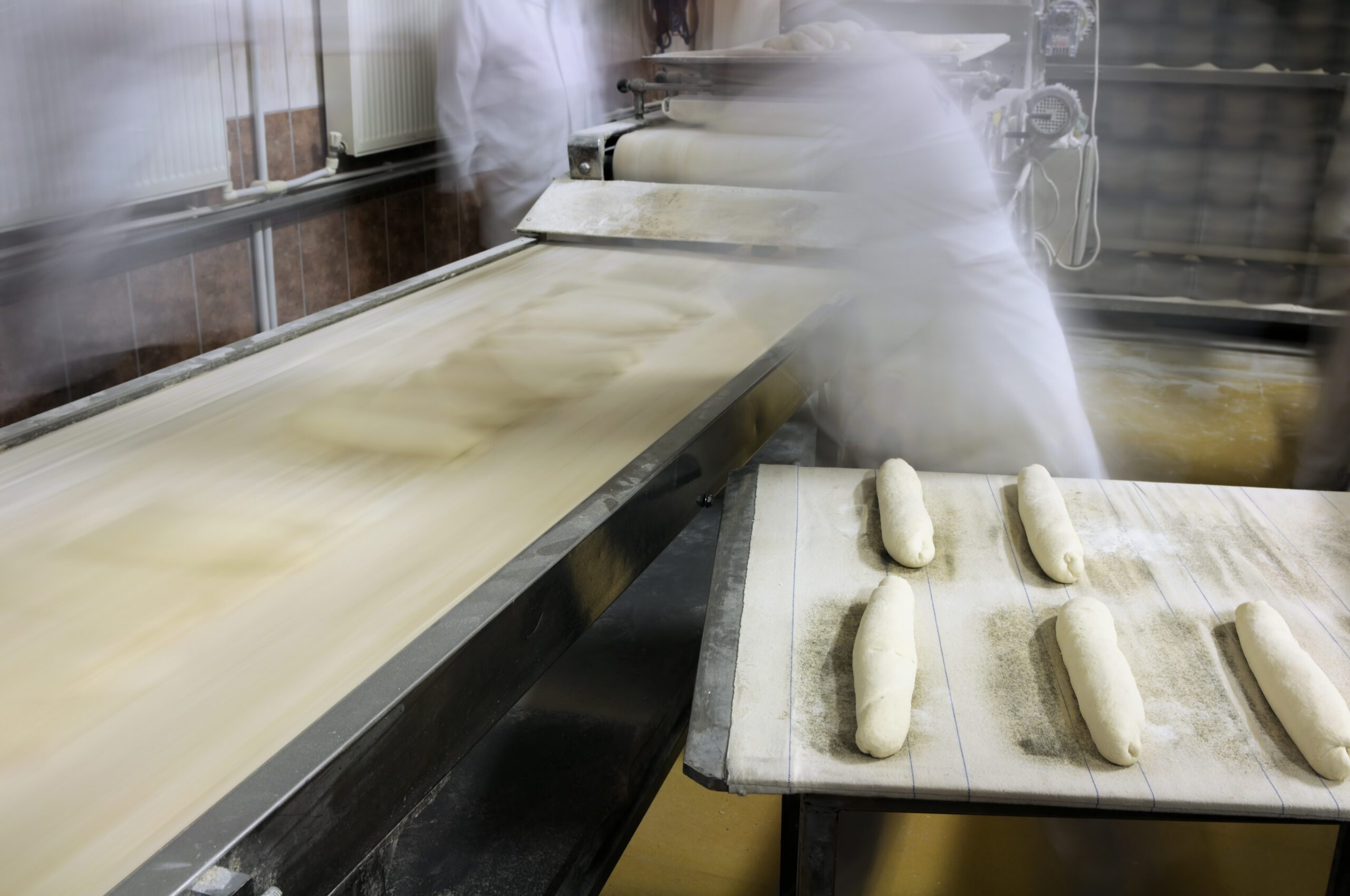 Dough of breads on the production line