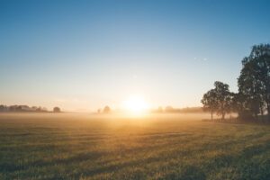 Michelmores Natural Capital Podcast