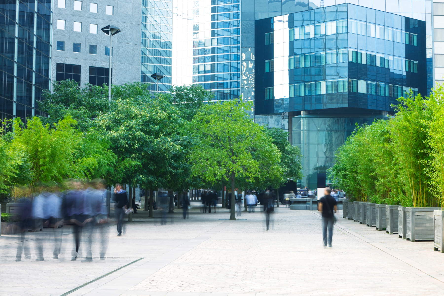 Voluntary Carbon Credits to come within the VAT Regime