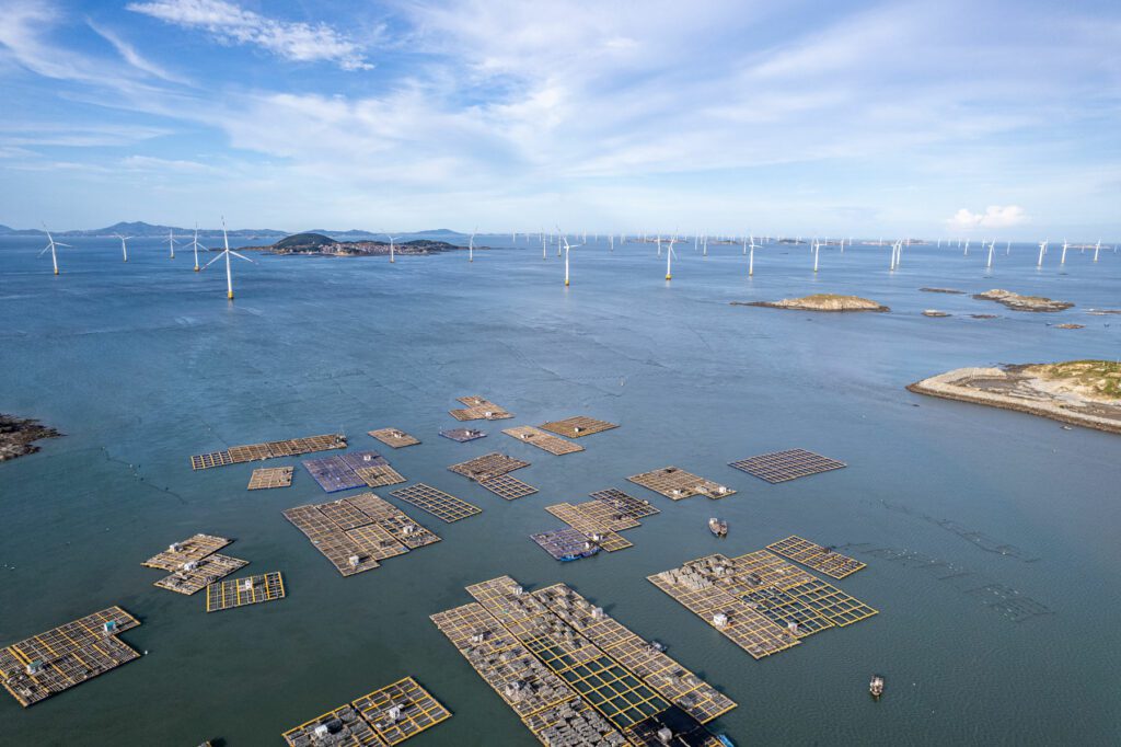 Fisheries, Marine & Harbour Regulation