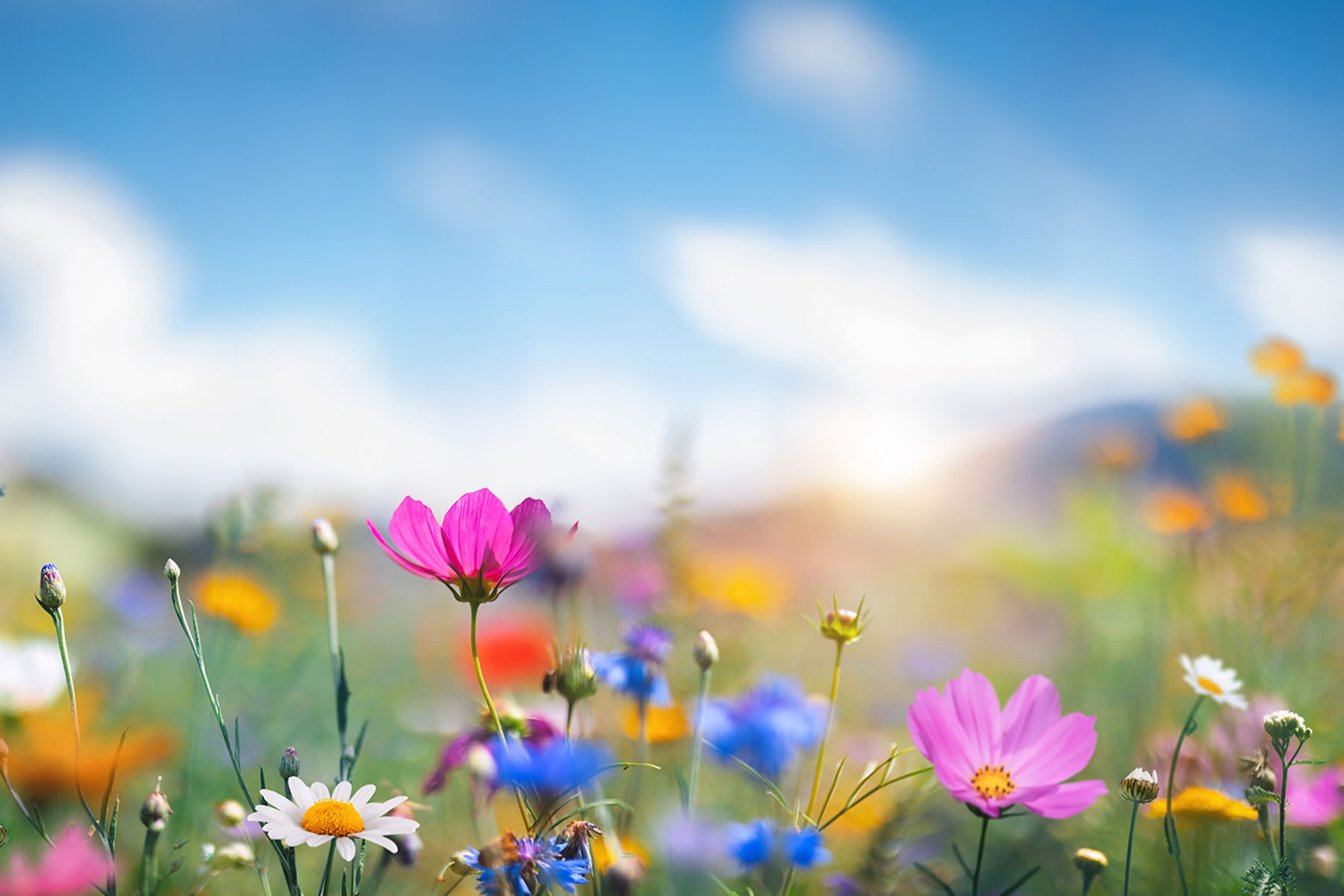 Biodiversity Gain Site Register Regulations 2024: Structuring and documentation