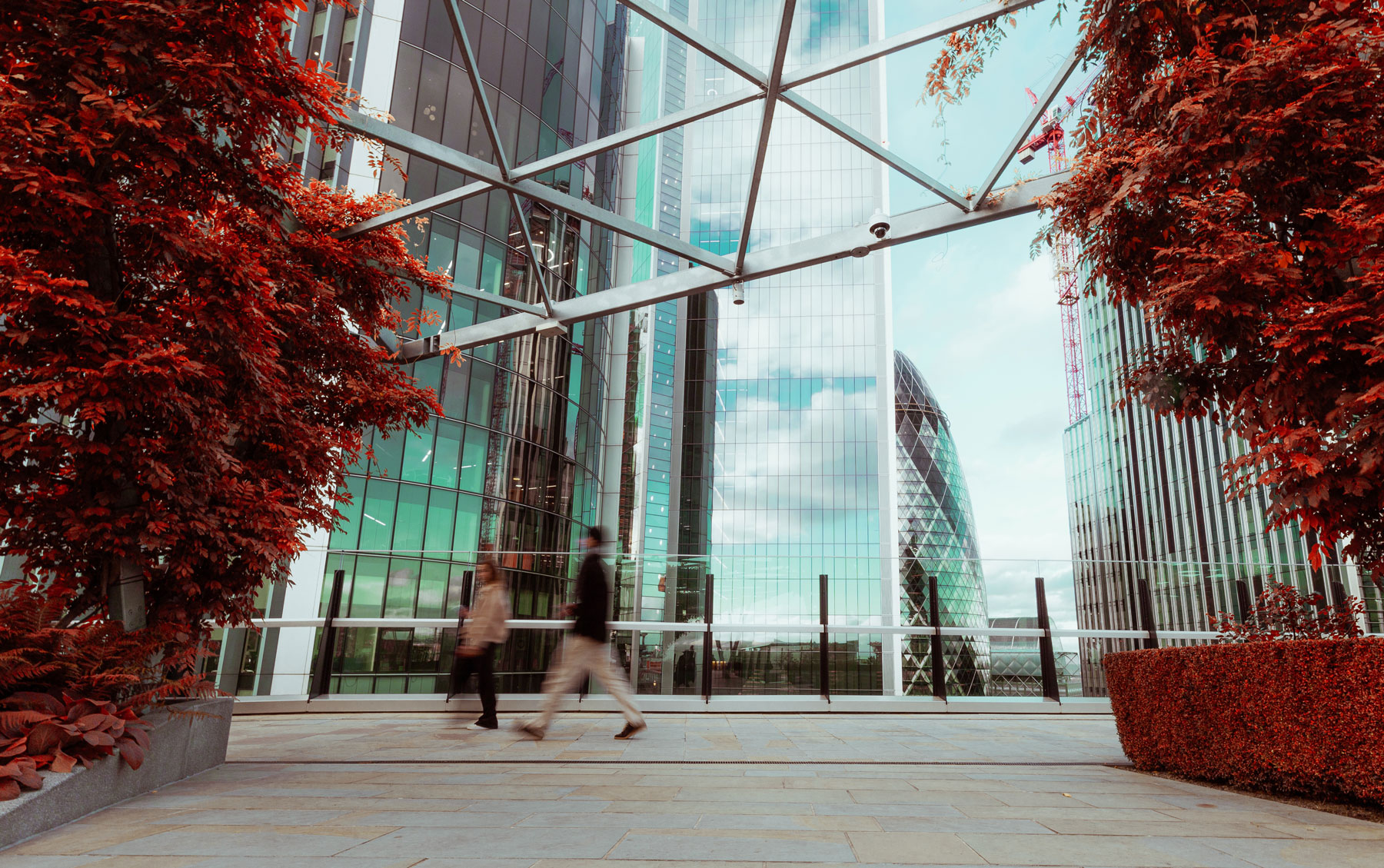 Michelmores advises Succession Wealth on acquisition of London Wall Partners