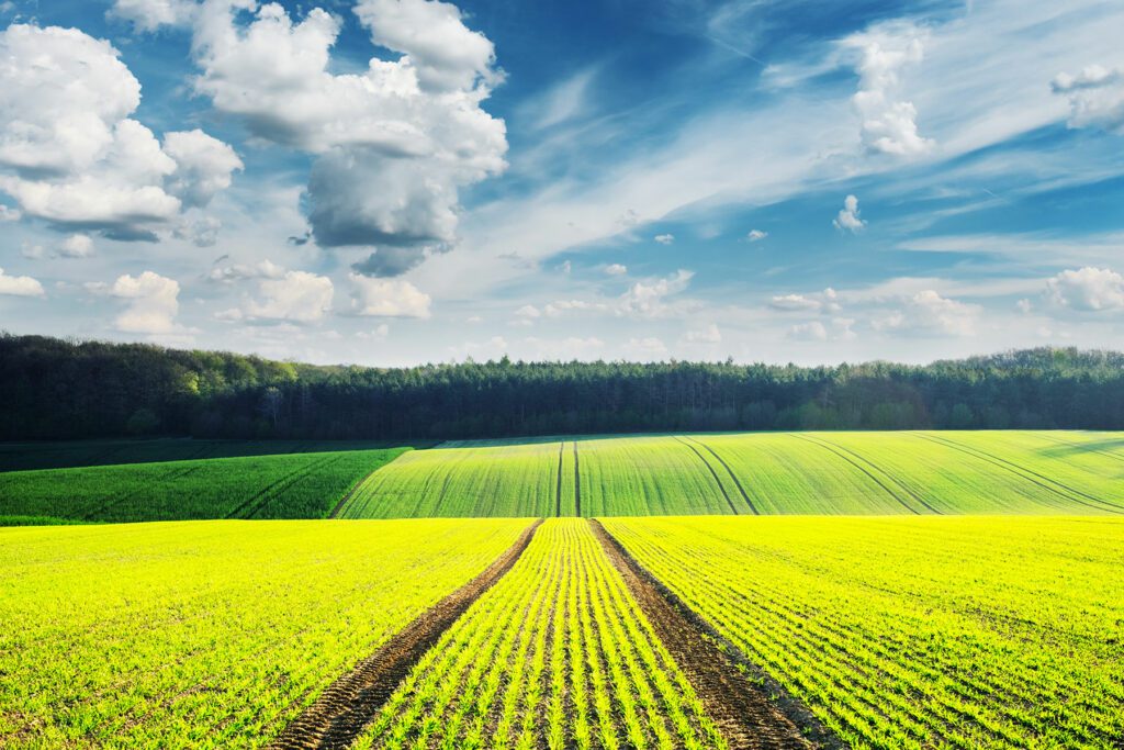 AgriLore Summer 2024 Edition