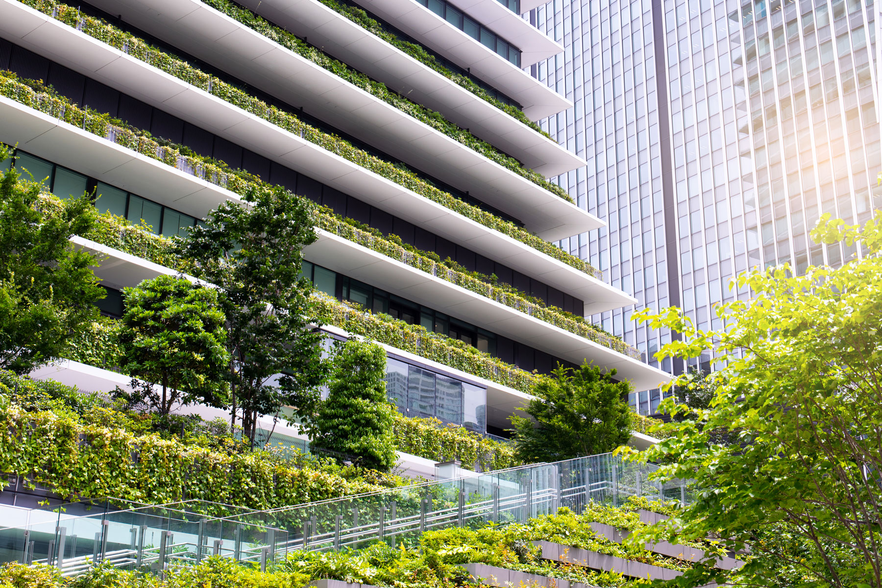 Considerations of carbon in planning decisions