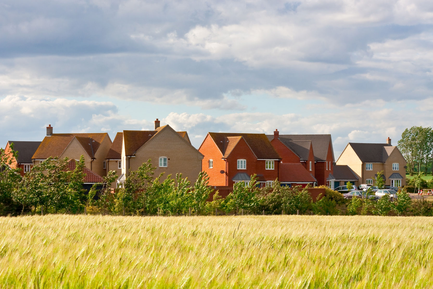 CG Fry & Son Limited v (1) Secretary of State for Levelling Up, Housing and Communities (2) Somerset Council