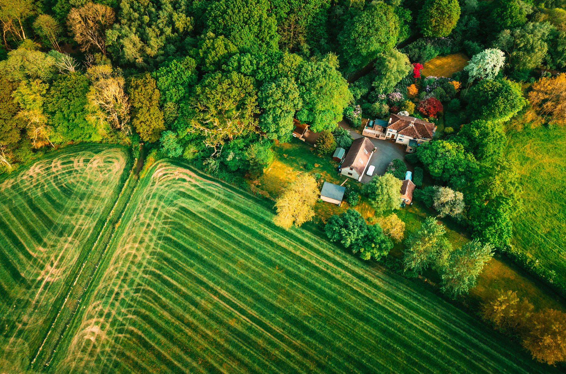 Taxing nature: HMRC clarifies the taxation of ecosystem services ...