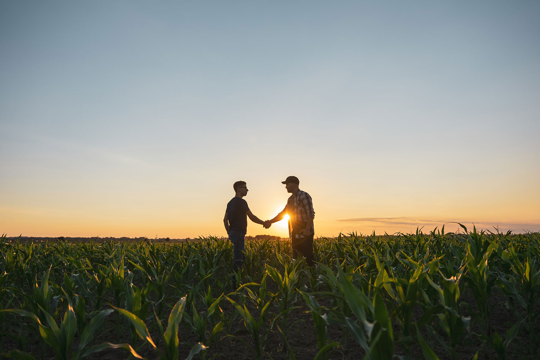 Partnerships: what is partnership land?