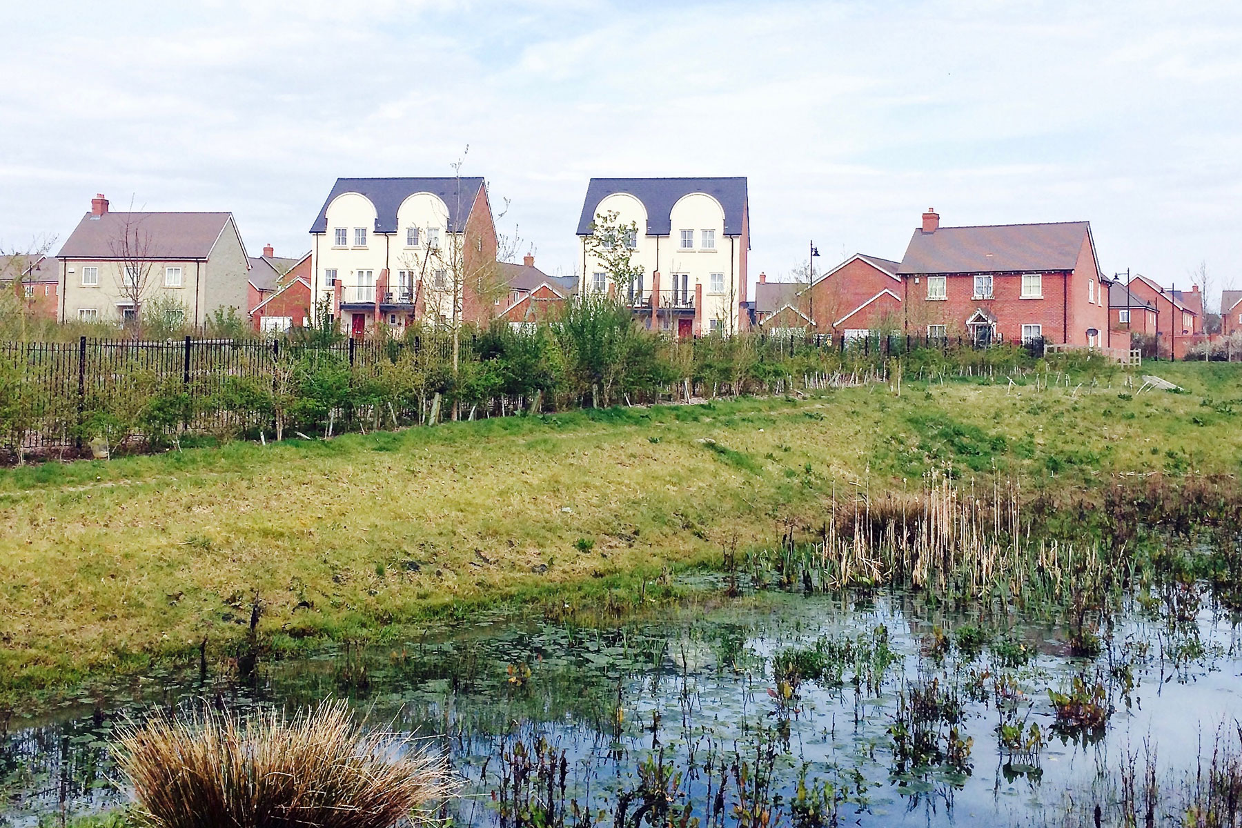 Nutrient Neutrality in the Supreme Court: Update on C G Fry & Son Limited v Secretary of State for Levelling Up, Housing and Communities & Somerset Council