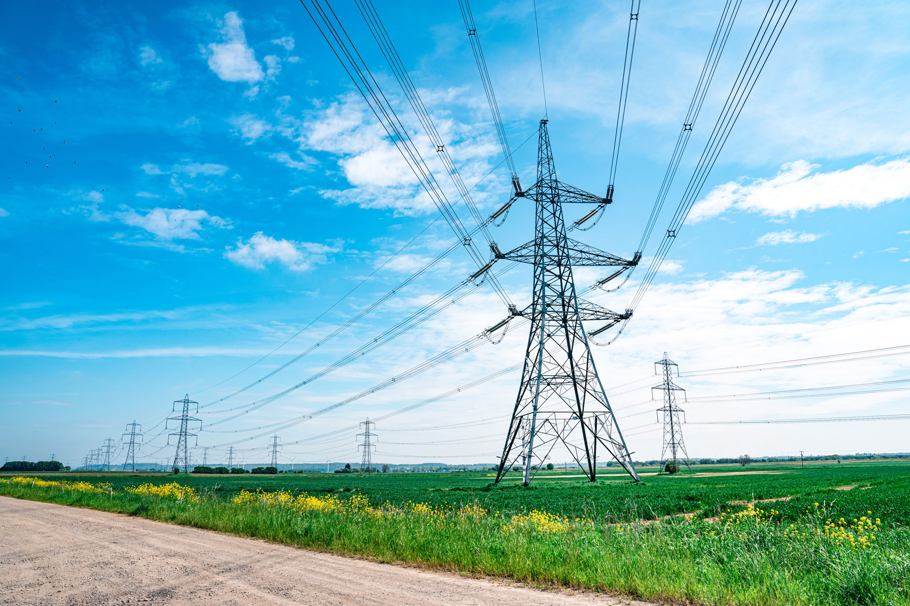NESO publishes 2025 timeline for connections reforms