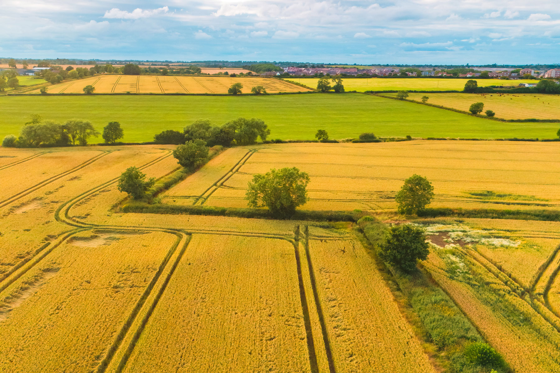 Finance: Debt funding for nature based projects